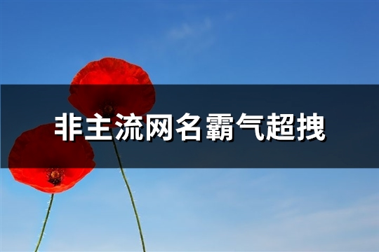 非主流网名霸气超拽(共464个)(非主流网名霸气软妹)