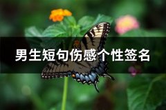 男生短句伤感个性签名(推荐102句)