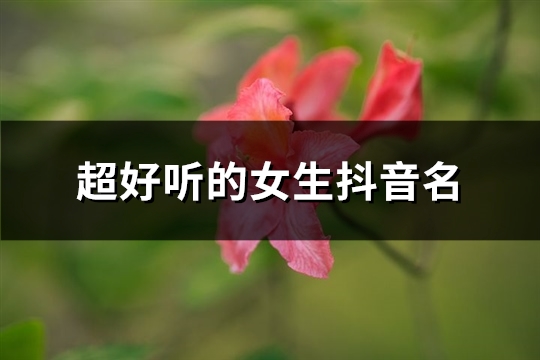 超好听的女生抖音名(545个)(抖音好听的女生)