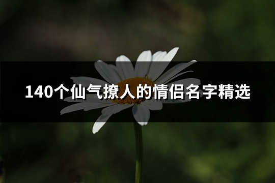 140个仙气撩人的情侣名字精选(185个)(仙气撩人的情话)