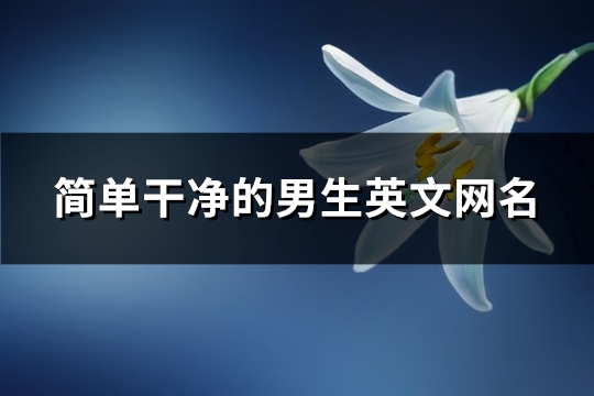 简单干净的男生英文网名(139个)(简单干净的男生头像)