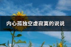 内心孤独空虚寂寞的说说