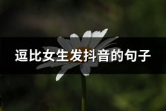 逗比女生发抖音的句子(实用108句)