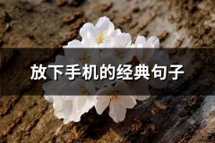 放下手机的经典句子(汇总46句)
