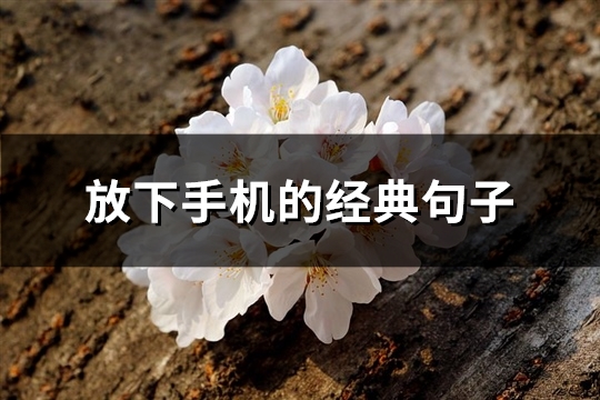 放下手机的经典句子(汇总46句)