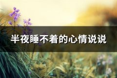 半夜睡不着的心情说说(共60句)