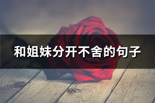和姐妹分开不舍的句子(推荐63句)