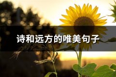 诗和远方的唯美句子(热门65句)