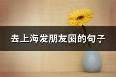 去上海发朋友圈的句子(34句)
