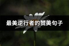 最美逆行者的赞美句子(共61句)