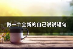 做一个全新的自己说说短句(共137句)