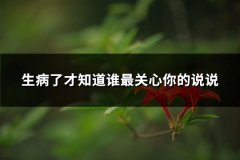 生病了才知道谁最关心你的说说(共62句)