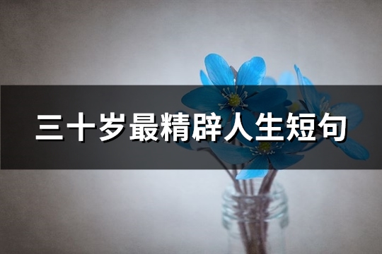 三十岁最精辟人生短句(优选70句)