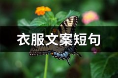 衣服文案短句(实用66句)