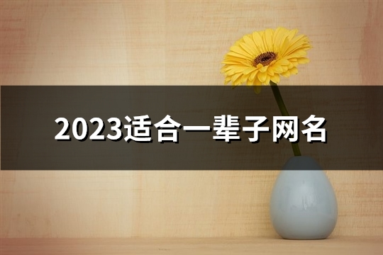 2023适合一辈子网名(共526个)(2023适合一辈子网名男生)