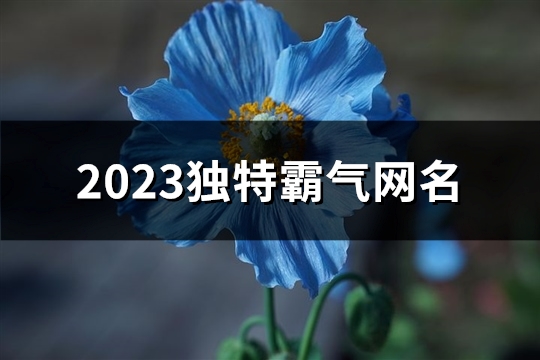 2023独特霸气网名(优选721个)(2023独特霸气网名女三个字)