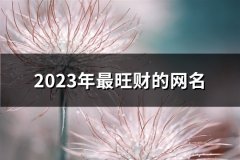 2023年最旺财的网名(534个)