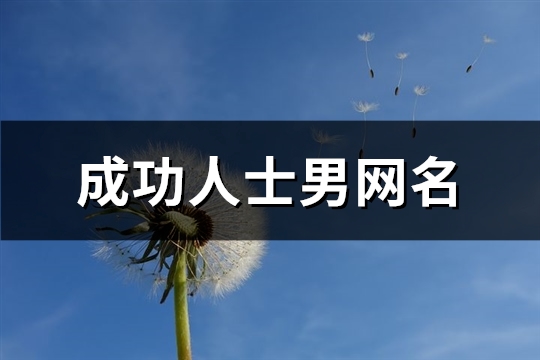 成功人士男网名(407个)(成功人士的网名男)