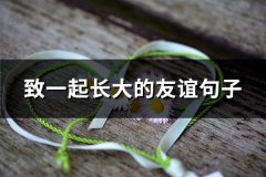 致一起长大的友谊句子(通用70句)