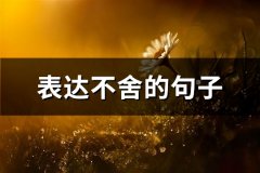表达不舍的句子(共68句)
