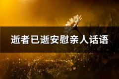 逝者已逝安慰亲人话语(汇总69句)