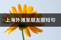 上海外滩发朋友圈短句(热门53句)