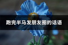 跑完半马发朋友圈的话语(实用103句)
