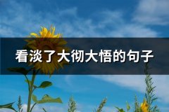 看淡了大彻大悟的句子(热门64句)