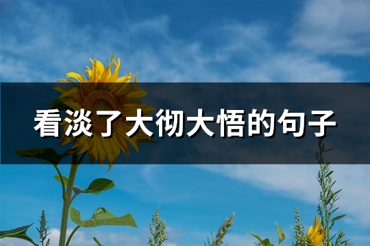 看淡了大彻大悟的句子(热门64句)
