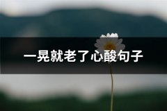 一晃就老了心酸句子(实用67句)