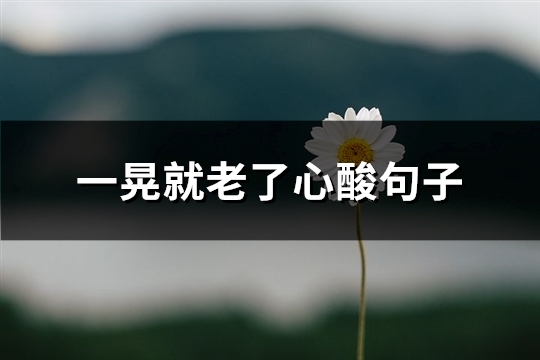一晃就老了心酸句子(实用67句)