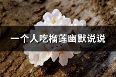 一个人吃榴莲幽默说说(通用66句)