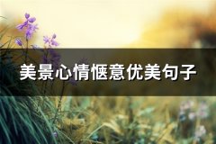 美景心情惬意优美句子(汇总73句)