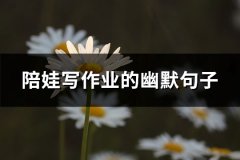 陪娃写作业的幽默句子(通用62句)