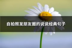 自拍照发朋友圈的说说经典句子(实用63句)