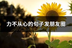 力不从心的句子发朋友圈(优选67句)