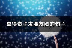 喜得贵子发朋友圈的句子(共60句)