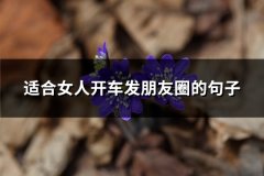 适合女人开车发朋友圈的句子(汇总54句)
