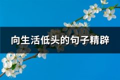 向生活低头的句子精辟(90句)