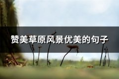 赞美草原风景优美的句子(热门64句)