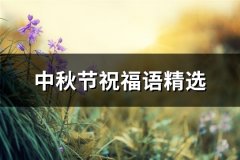 中秋节祝福语精选(优选188句)