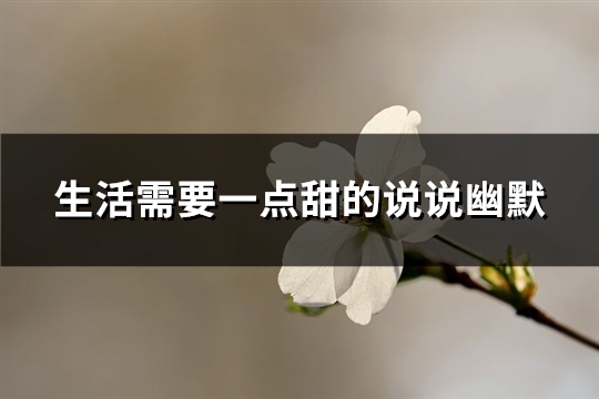 生活需要一点甜的说说幽默(汇总69句)