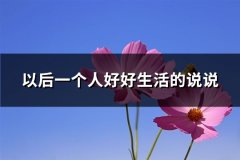 以后一个人好好生活的说说(实用64句)