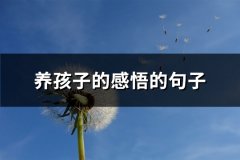 养孩子的感悟的句子(必备63句)