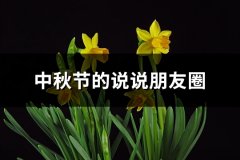 中秋节的说说朋友圈(共156句)