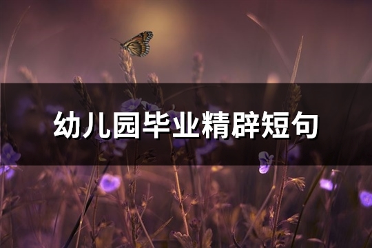 幼儿园毕业精辟短句(通用62句)