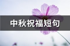 中秋祝福短句(汇总76句)