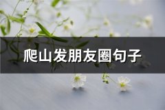 爬山发朋友圈句子(实用77句)