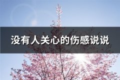 没有人关心的伤感说说(热门65句)