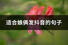 适合娘俩发抖音的句子(精选60句)